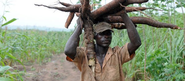 He explained further that it would equip them with essential skills and improve their livelihoods through better production methods and increased value creation.