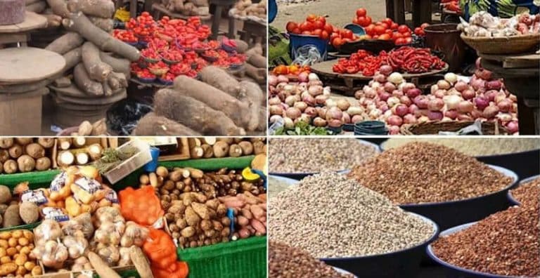A market survey conducted this week provides insights into the costs of staples such as rice, beans, tomatoes, and other commodities, which are central to holiday celebrations.